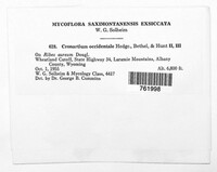 Image Associated With the Occurence